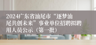 2024广东省汕尾市“逐梦汕尾共创未来”事业单位招聘拟聘用人员公示（第一批）