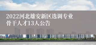 2022河北雄安新区选调专业骨干人才13人公告