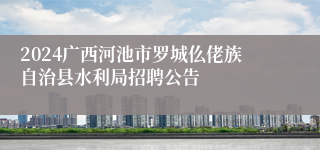 2024广西河池市罗城仫佬族自治县水利局招聘公告