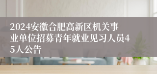 2024安徽合肥高新区机关事业单位招募青年就业见习人员45人公告