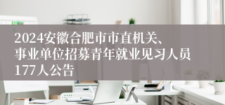 2024安徽合肥市市直机关、事业单位招募青年就业见习人员177人公告