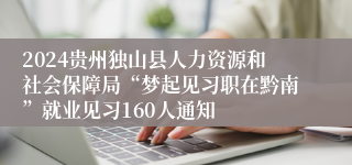 2024贵州独山县人力资源和社会保障局“梦起见习职在黔南”就业见习160人通知