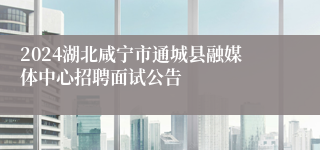 2024湖北咸宁市通城县融媒体中心招聘面试公告