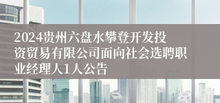 2024贵州六盘水攀登开发投资贸易有限公司面向社会选聘职业经理人1人公告