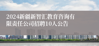 2024新疆新智汇教育咨询有限责任公司招聘10人公告