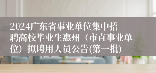 2024广东省事业单位集中招聘高校毕业生惠州（市直事业单位）拟聘用人员公告(第一批)