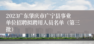 2023广东肇庆市广宁县事业单位招聘拟聘用人员名单（第三批）