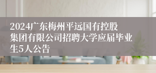 2024广东梅州平远国有控股集团有限公司招聘大学应届毕业生5人公告