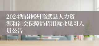 2024湖南郴州临武县人力资源和社会保障局招用就业见习人员公告