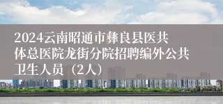 2024云南昭通市彝良县医共体总医院龙街分院招聘编外公共卫生人员（2人）