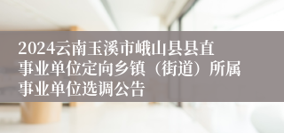 2024云南玉溪市峨山县县直事业单位定向乡镇（街道）所属事业单位选调公告