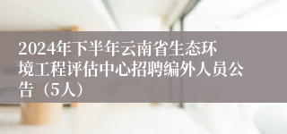 2024年下半年云南省生态环境工程评估中心招聘编外人员公告（5人）