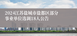 2024江苏盐城市盐都区部分事业单位选调18人公告