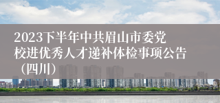 2023下半年中共眉山市委党校进优秀人才递补体检事项公告（四川）