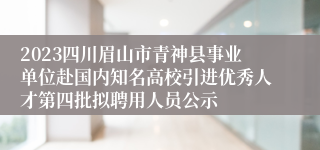 2023四川眉山市青神县事业单位赴国内知名高校引进优秀人才第四批拟聘用人员公示