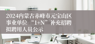 2024内蒙古赤峰市元宝山区事业单位 “1+N”补充招聘拟聘用人员公示