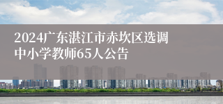 2024广东湛江市赤坎区选调中小学教师65人公告