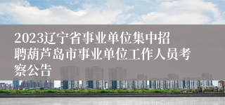 2023辽宁省事业单位集中招聘葫芦岛市事业单位工作人员考察公告