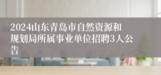 2024山东青岛市自然资源和规划局所属事业单位招聘3人公告