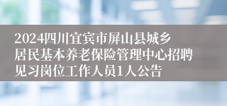 2024四川宜宾市屏山县城乡居民基本养老保险管理中心招聘见习岗位工作人员1人公告