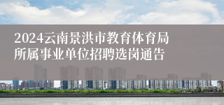 2024云南景洪市教育体育局所属事业单位招聘选岗通告