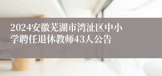 2024安徽芜湖市湾沚区中小学聘任退休教师43人公告