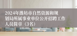 2024年潍坊市自然资源和规划局所属事业单位公开招聘工作人员简章（3名）