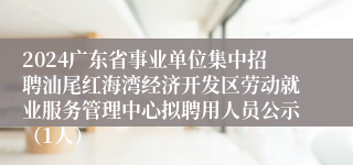 2024广东省事业单位集中招聘汕尾红海湾经济开发区劳动就业服务管理中心拟聘用人员公示（1人）