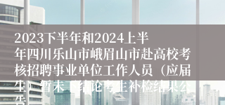 2023下半年和2024上半年四川乐山市峨眉山市赴高校考核招聘事业单位工作人员（应届生）暂未下结论考生补检结果公告