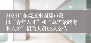 2024广东烧过水南雄市第二批“青年人才”和“急需紧缺专业人才”招聘人员63人公告