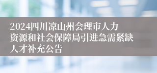 2024四川凉山州会理市人力资源和社会保障局引进急需紧缺人才补充公告