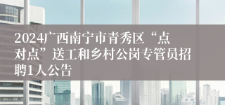 2024广西南宁市青秀区“点对点”送工和乡村公岗专管员招聘1人公告