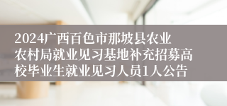 2024广西百色市那坡县农业农村局就业见习基地补充招募高校毕业生就业见习人员1人公告