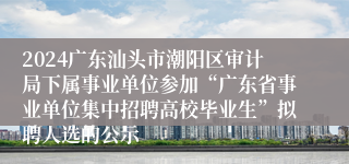 2024广东汕头市潮阳区审计局下属事业单位参加“广东省事业单位集中招聘高校毕业生”拟聘人选的公示