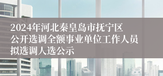 2024年河北秦皇岛市抚宁区公开选调全额事业单位工作人员拟选调人选公示