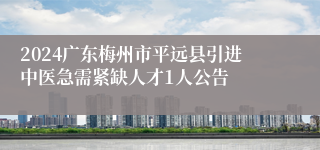 2024广东梅州市平远县引进中医急需紧缺人才1人公告