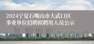 2024宁夏石嘴山市大武口区事业单位招聘拟聘用人员公示