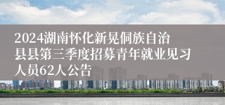 2024湖南怀化新晃侗族自治县县第三季度招募青年就业见习人员62人公告