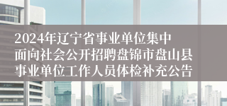 2024年辽宁省事业单位集中面向社会公开招聘盘锦市盘山县事业单位工作人员体检补充公告