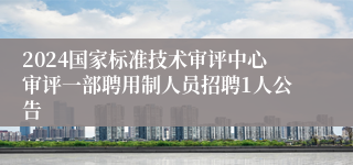 2024国家标准技术审评中心审评一部聘用制人员招聘1人公告