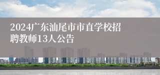 2024广东汕尾市市直学校招聘教师13人公告