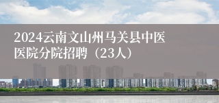 2024云南文山州马关县中医医院分院招聘（23人）