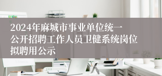 2024年麻城市事业单位统一公开招聘工作人员卫健系统岗位拟聘用公示