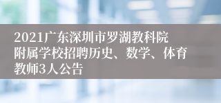 2021广东深圳市罗湖教科院附属学校招聘历史、数学、体育教师3人公告