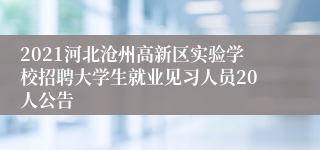 2021河北沧州高新区实验学校招聘大学生就业见习人员20人公告