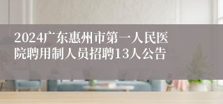 2024广东惠州市第一人民医院聘用制人员招聘13人公告