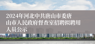 2024年河北中共唐山市委唐山市人民政府督查室招聘拟聘用人员公示