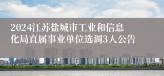 2024江苏盐城市工业和信息化局直属事业单位选调3人公告