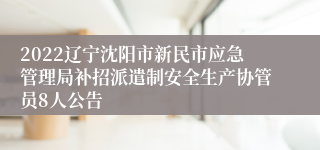 2022辽宁沈阳市新民市应急管理局补招派遣制安全生产协管员8人公告