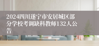 2024四川遂宁市安居城区部分学校考调缺科教师132人公告